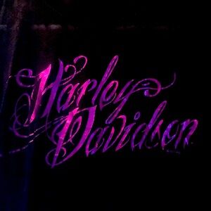 Harley Davidson share top with barely seeable skeletons